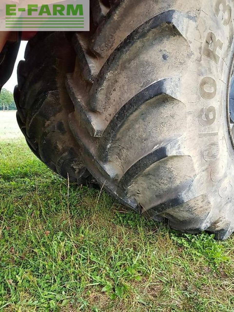 Rübenroder typu Grimme maxtron 620, Gebrauchtmaschine v EIXEN (Obrázok 9)