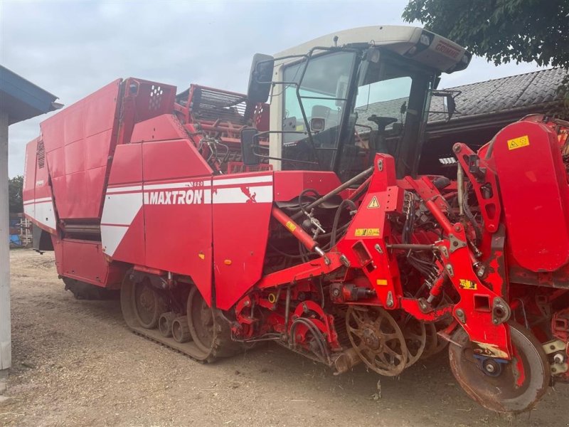 Rübenroder tip Grimme Maxtron 620, Gebrauchtmaschine in Varde