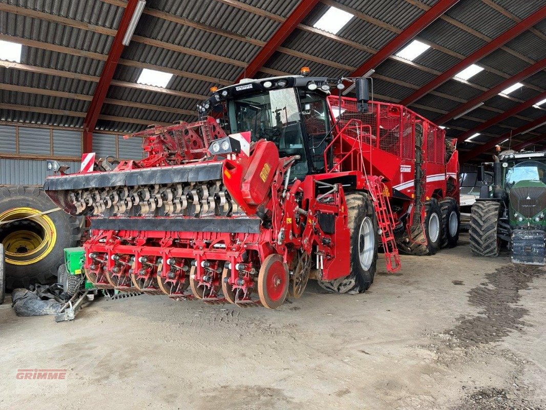 Rübenroder of the type Grimme REXOR 6300 Platinum, Gebrauchtmaschine in Rødkærsbro (Picture 1)