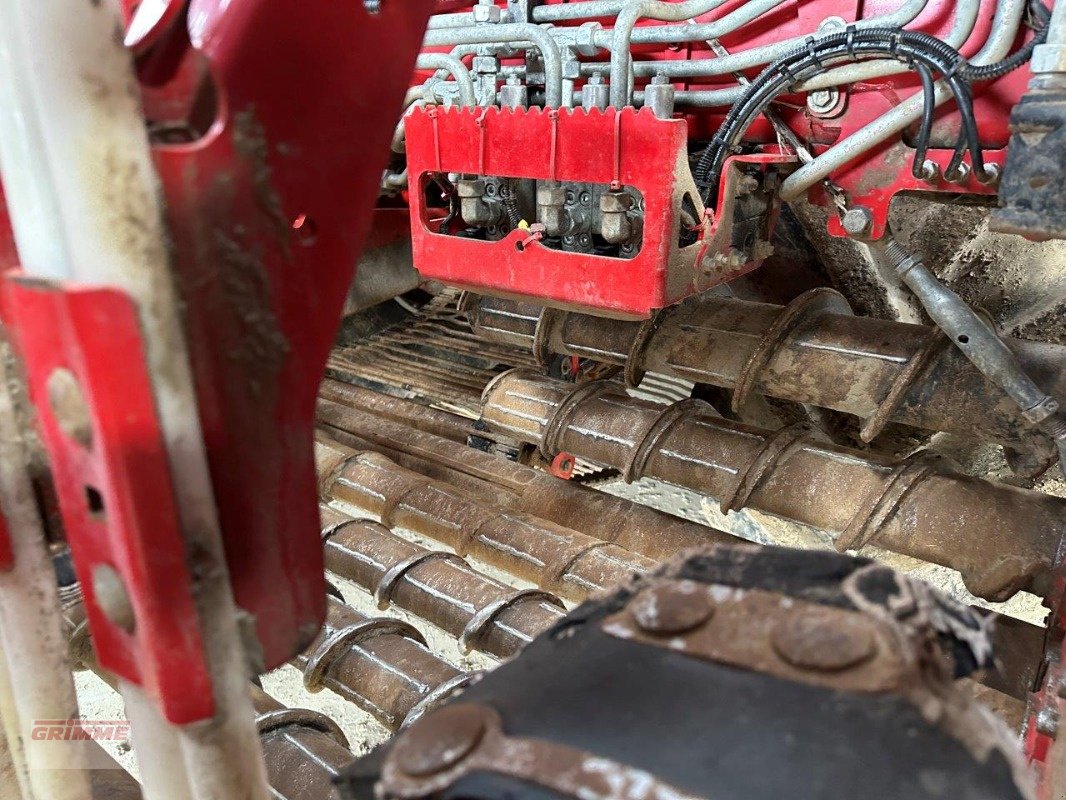 Rübenroder du type Grimme REXOR 6300 Platinum, Gebrauchtmaschine en Rødkærsbro (Photo 4)