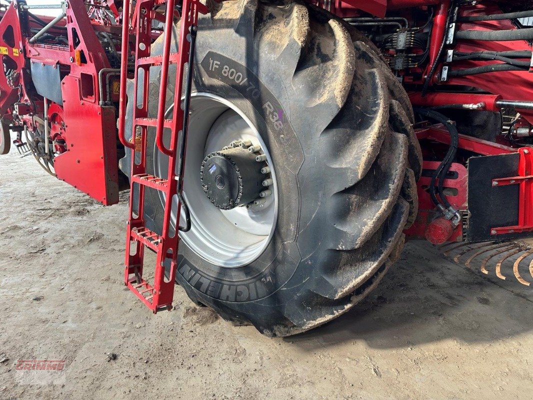 Rübenroder of the type Grimme REXOR 6300 Platinum, Gebrauchtmaschine in Rødkærsbro (Picture 14)