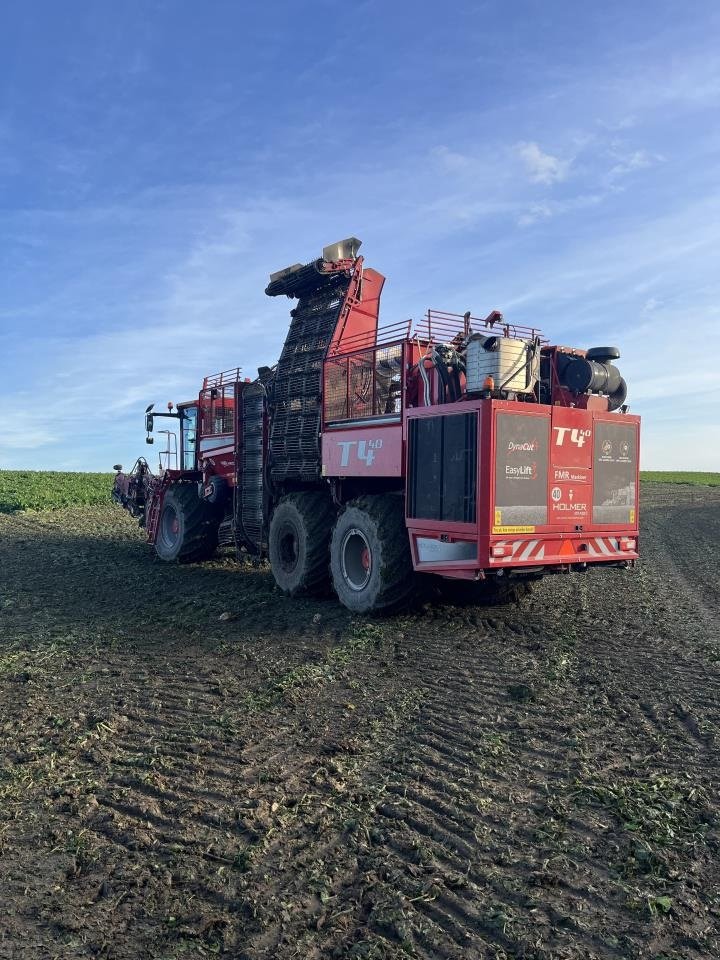 Rübenroder del tipo Holmer T4-40, Gebrauchtmaschine en Maribo (Imagen 3)