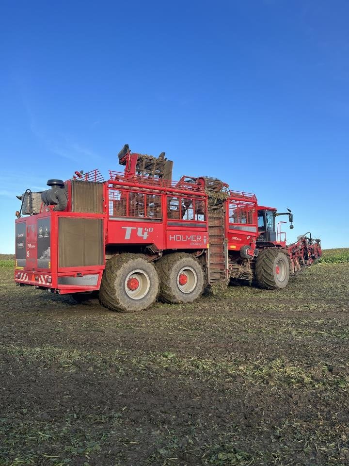 Rübenroder Türe ait Holmer T4-40, Gebrauchtmaschine içinde Maribo (resim 2)