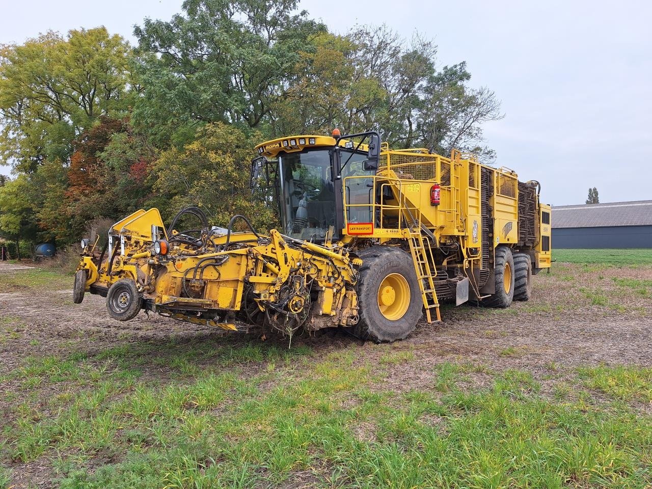 Rübenroder des Typs ROPA TIGER 3, Gebrauchtmaschine in Maribo (Bild 1)