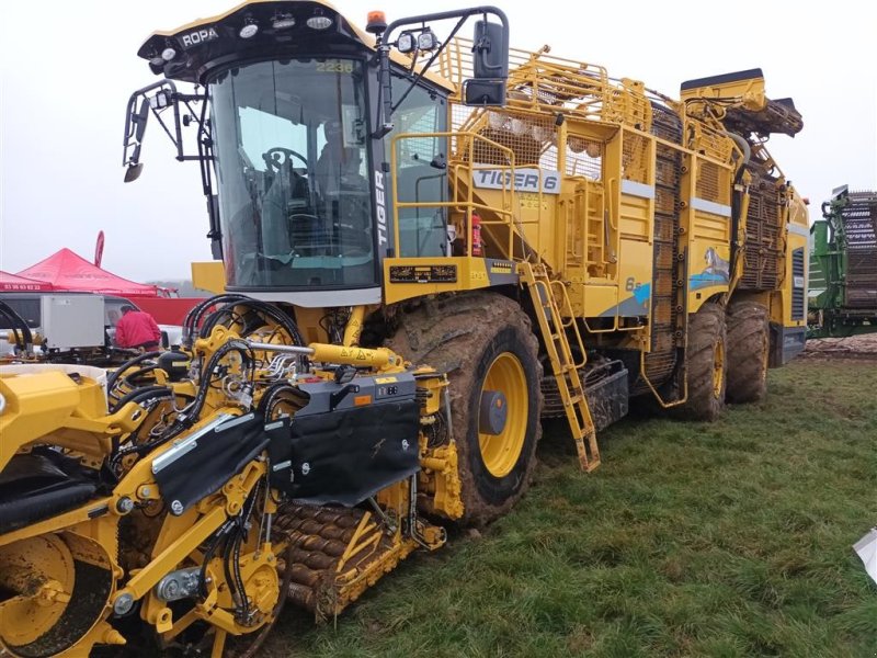 Rübenroder van het type ROPA Tiger 6S, Gebrauchtmaschine in Maribo (Foto 1)