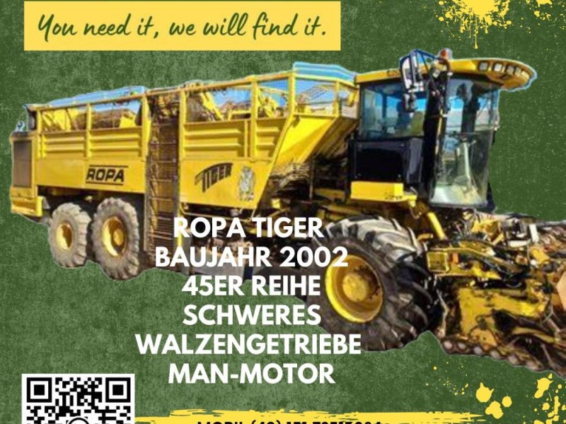 Rübenroder tip ROPA Tiger, Gebrauchtmaschine in Könnern (Poză 1)