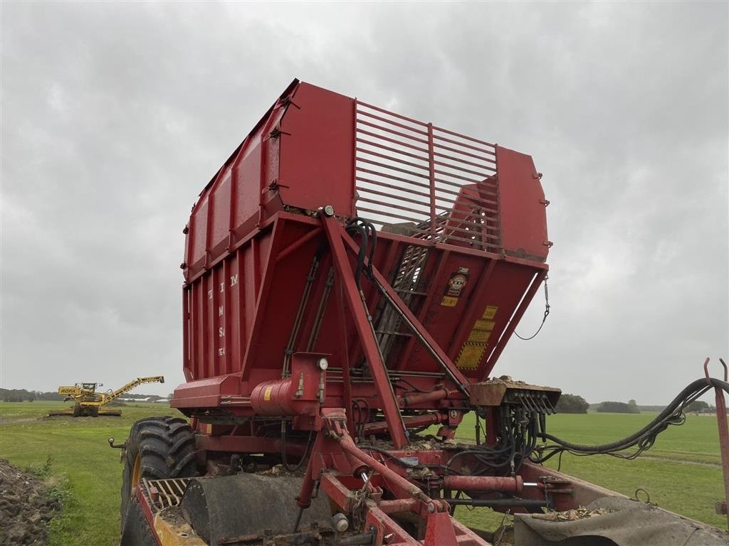 Rübenroder van het type Tim tea120, el-ventiler velholdt maskine, Gebrauchtmaschine in øster ulslev (Foto 7)