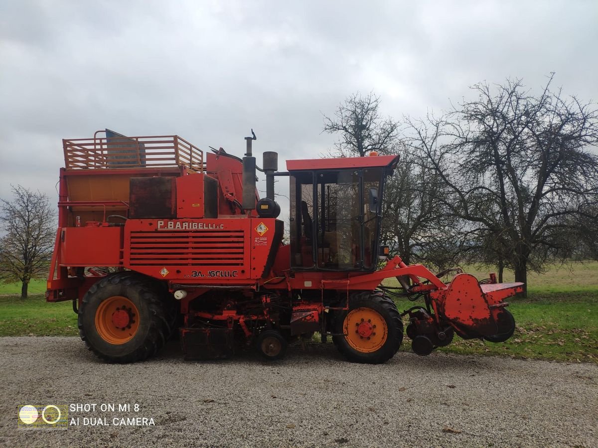 Rübenvollernter van het type Barigelli Europa - 4 RM - L, Gebrauchtmaschine in Eferding (Foto 1)