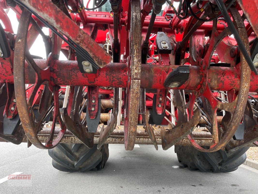 Rübenvollernter of the type Grimme REXOR 620 Rüttelschar, Gebrauchtmaschine in Damme (Picture 15)