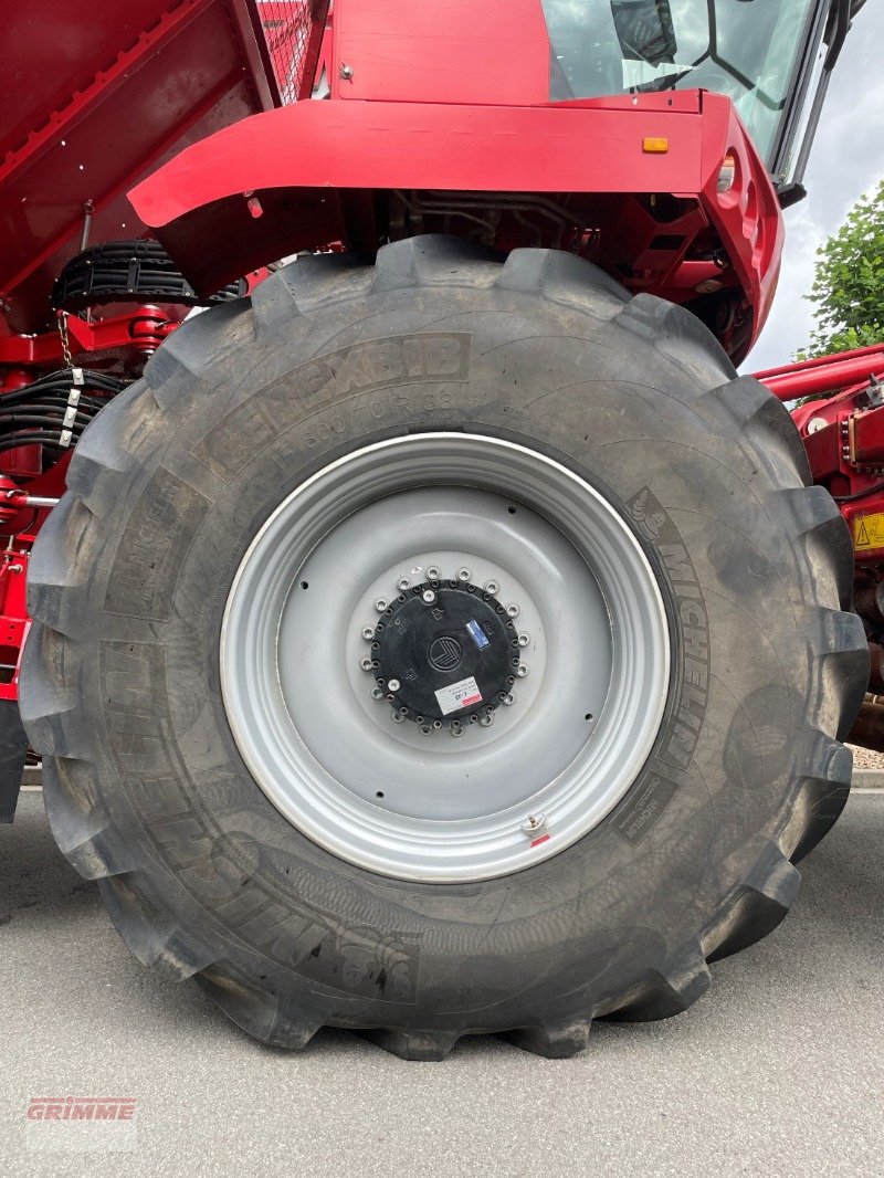 Rübenvollernter of the type Grimme REXOR 620 Rüttelschar, Gebrauchtmaschine in Damme (Picture 31)