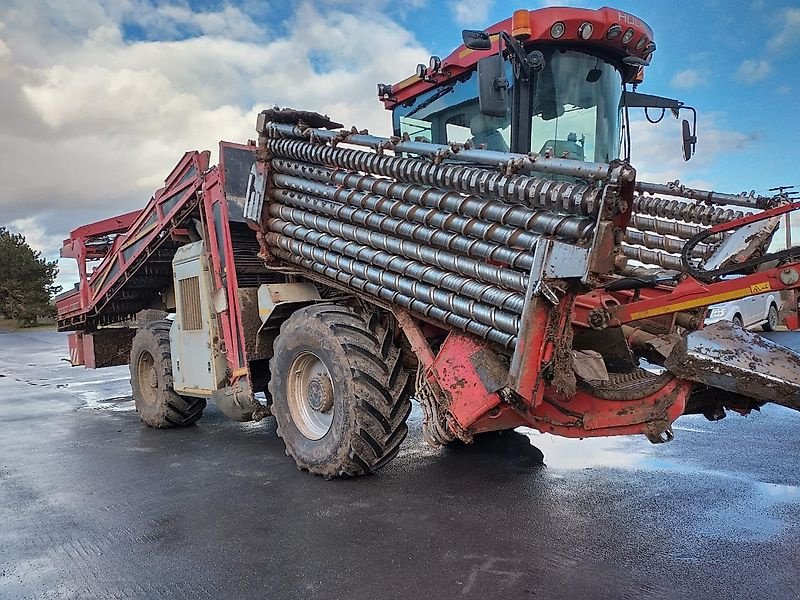 Rübenvollernter tip Holmer Holmer Terra Felis 2 - 2015, Gebrauchtmaschine in Schierling/Eggmühl