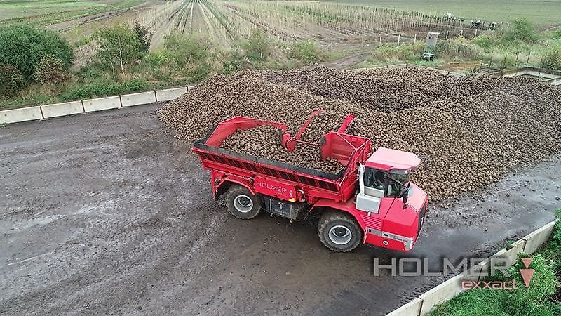 Rübenvollernter des Typs Holmer Terra Variant 600 - 2011, Gebrauchtmaschine in Schierling/Eggmühl (Bild 1)