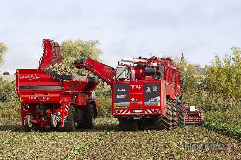 Rübenvollernter van het type Holmer Terra Variant 600 - 2011, Gebrauchtmaschine in Schierling/Eggmühl (Foto 7)