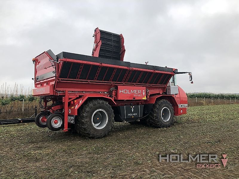 Rübenvollernter a típus Holmer Terra Variant 600 - 2011, Gebrauchtmaschine ekkor: Schierling/Eggmühl (Kép 5)