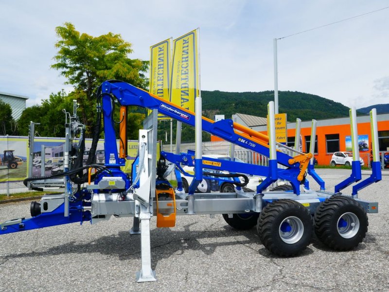 Rückewagen & Rückeanhänger типа Binderberger RW 10 + BK 4 - 7500, Gebrauchtmaschine в Villach (Фотография 1)