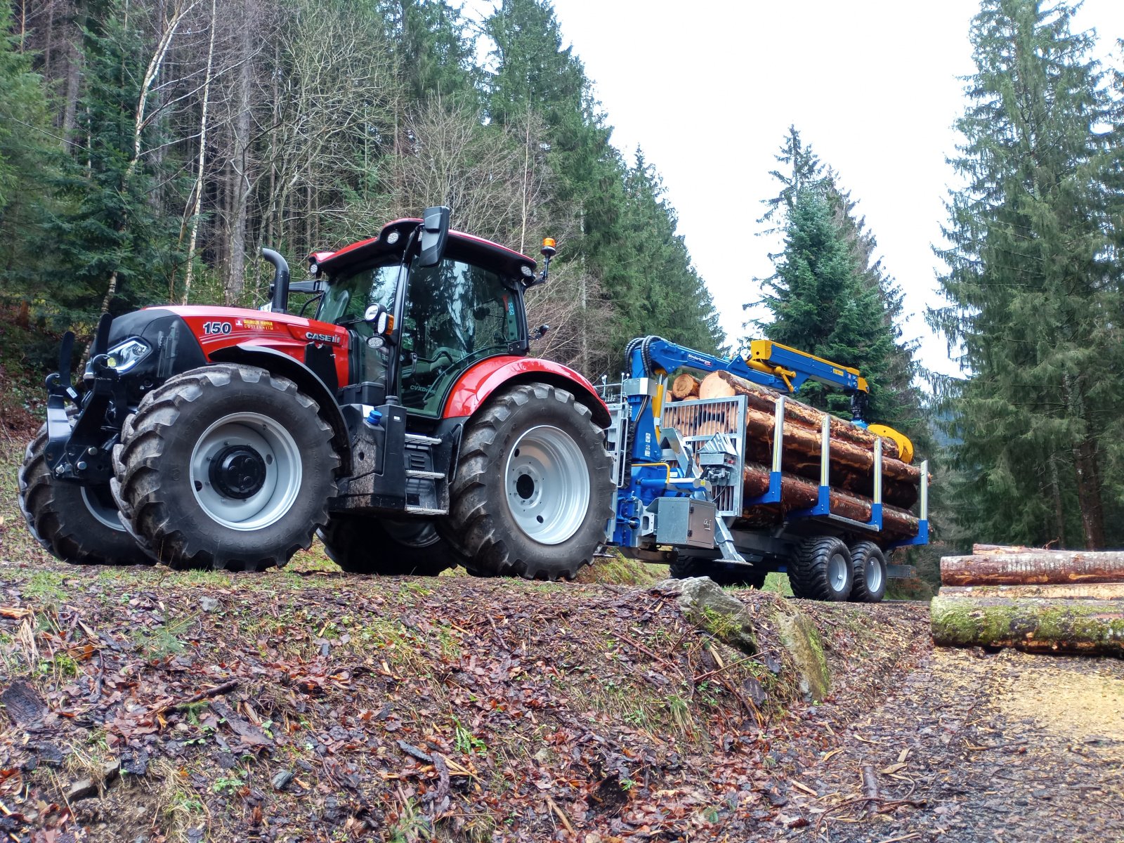 Rückewagen & Rückeanhänger tip Binderberger RW 12 Alpin, Gebrauchtmaschine in Furtwangen (Poză 2)