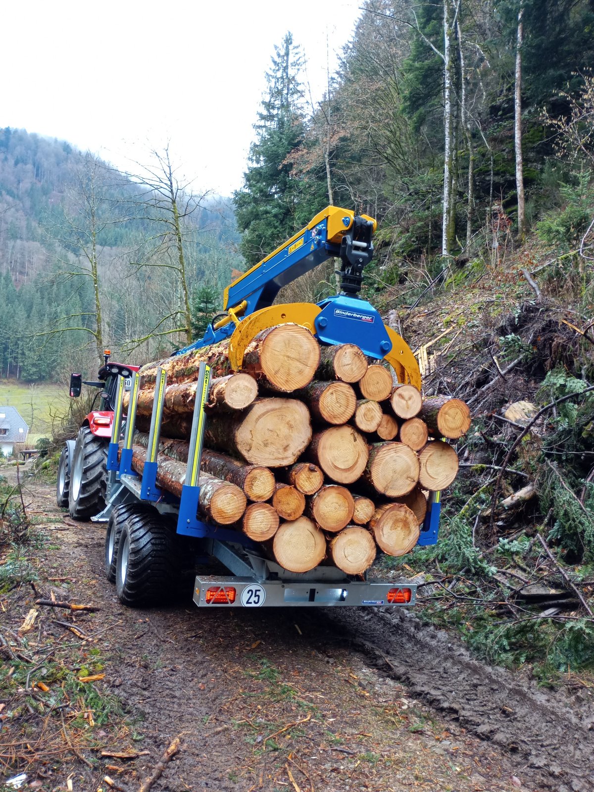 Rückewagen & Rückeanhänger tip Binderberger RW 12 Alpin, Gebrauchtmaschine in Furtwangen (Poză 3)