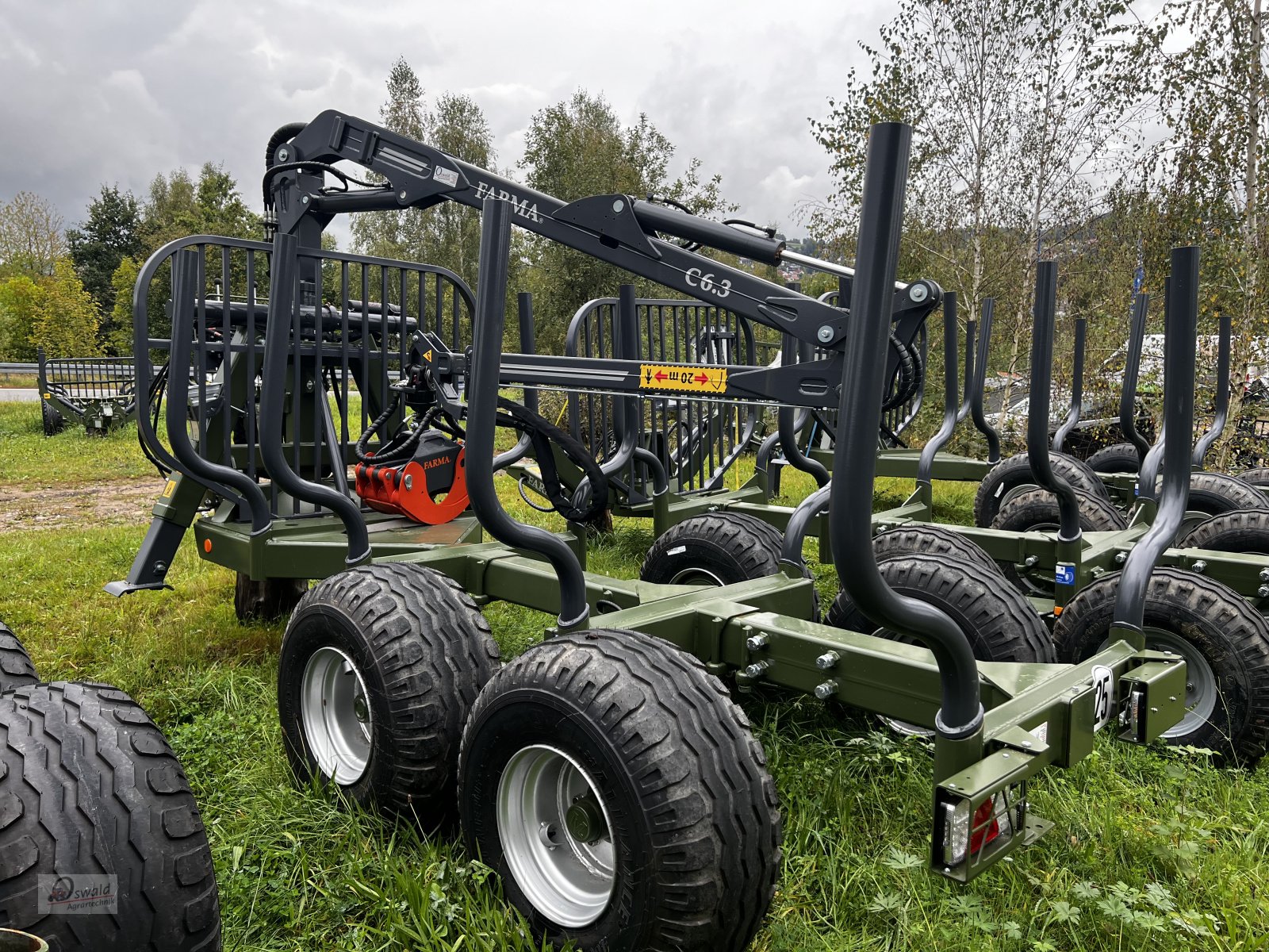 Rückewagen & Rückeanhänger Türe ait Farma CT 6,3-9 Rückewagen, Neumaschine içinde Regen (resim 4)