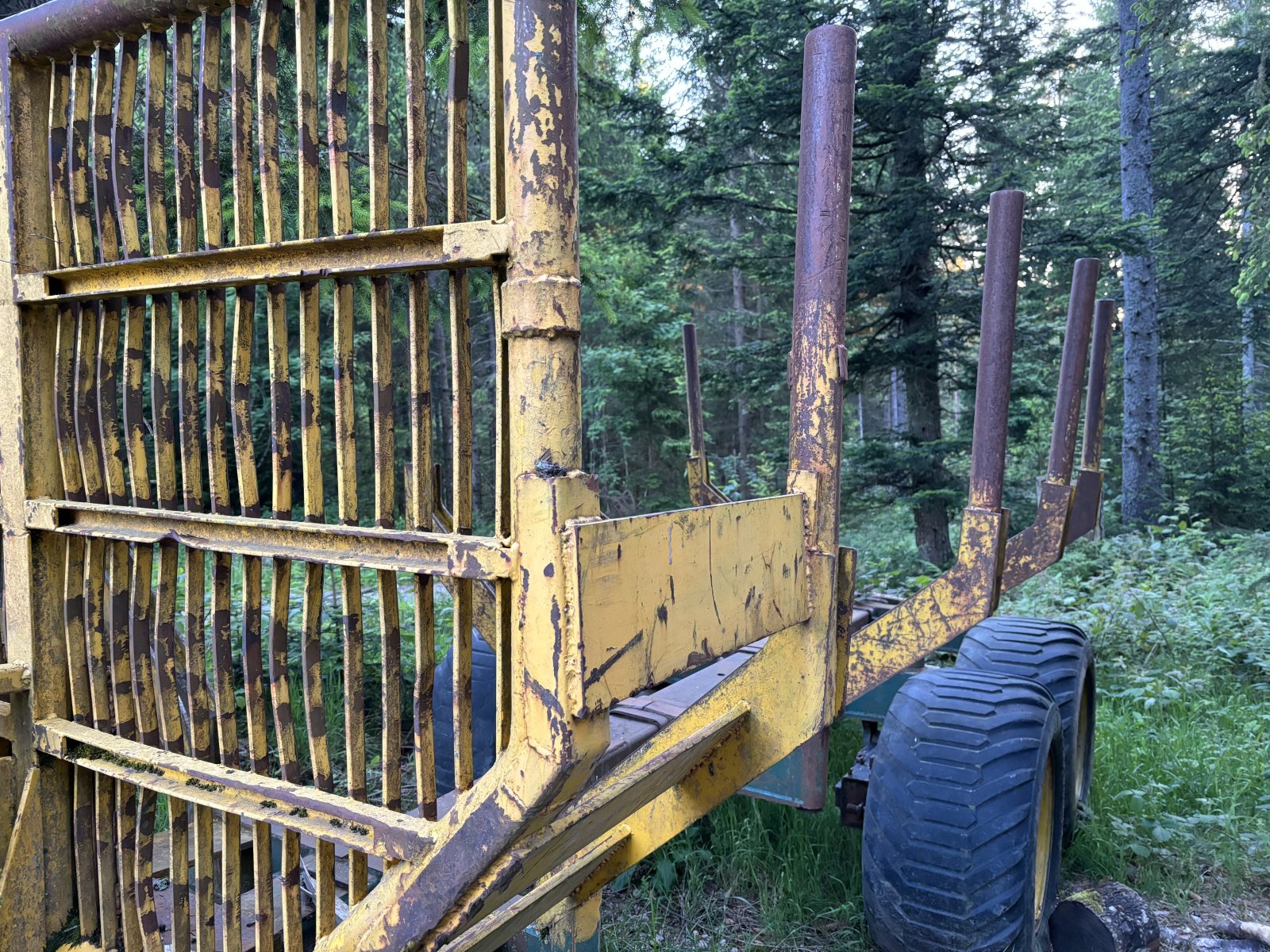 Rückewagen & Rückeanhänger del tipo Forst und Technik Anröchte G-HTW 100, Gebrauchtmaschine en Hinterzarten (Imagen 3)