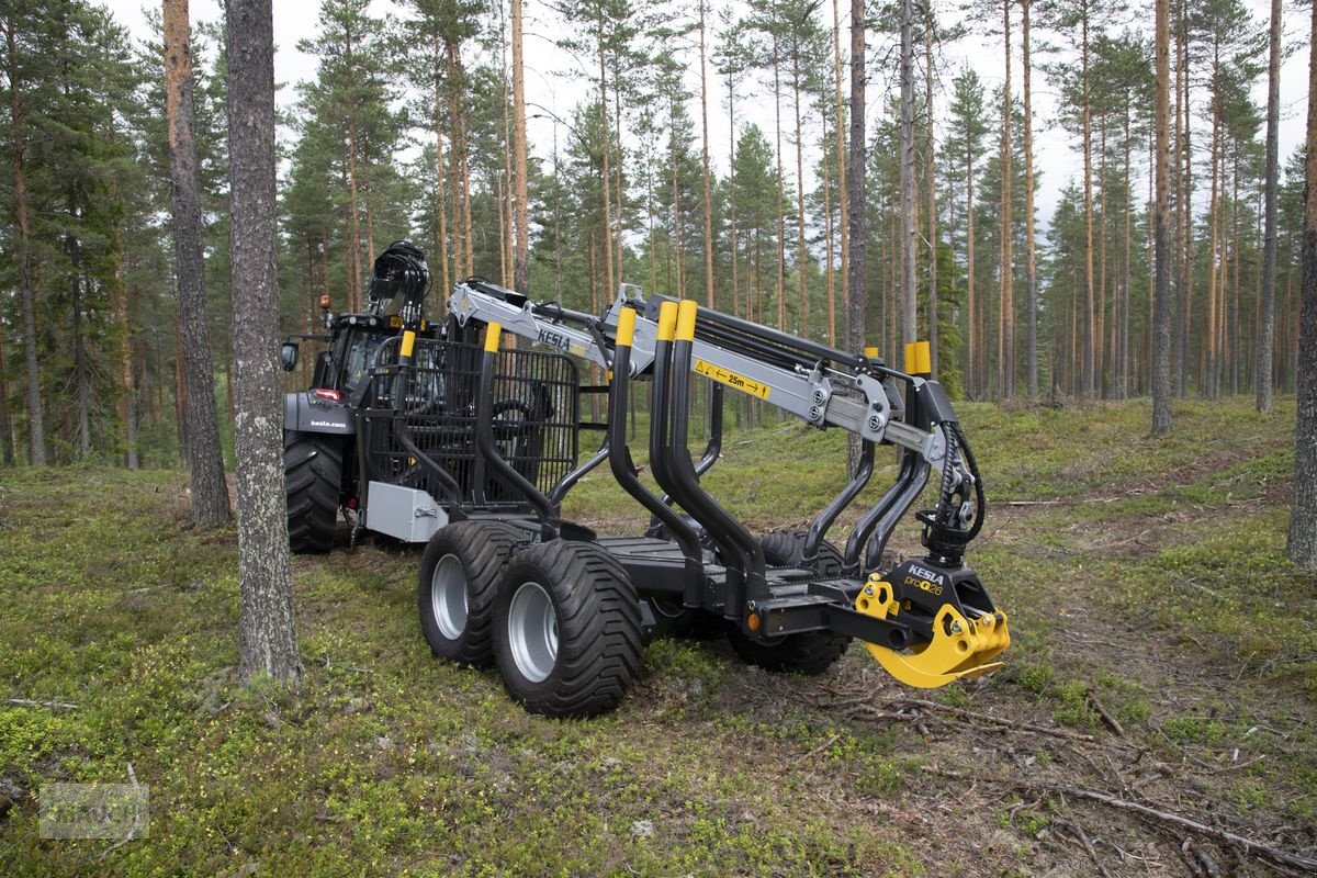 Rückewagen & Rückeanhänger Türe ait Kesla Kesla 114 HD Forstanhänger, Neumaschine içinde Burgkirchen (resim 1)