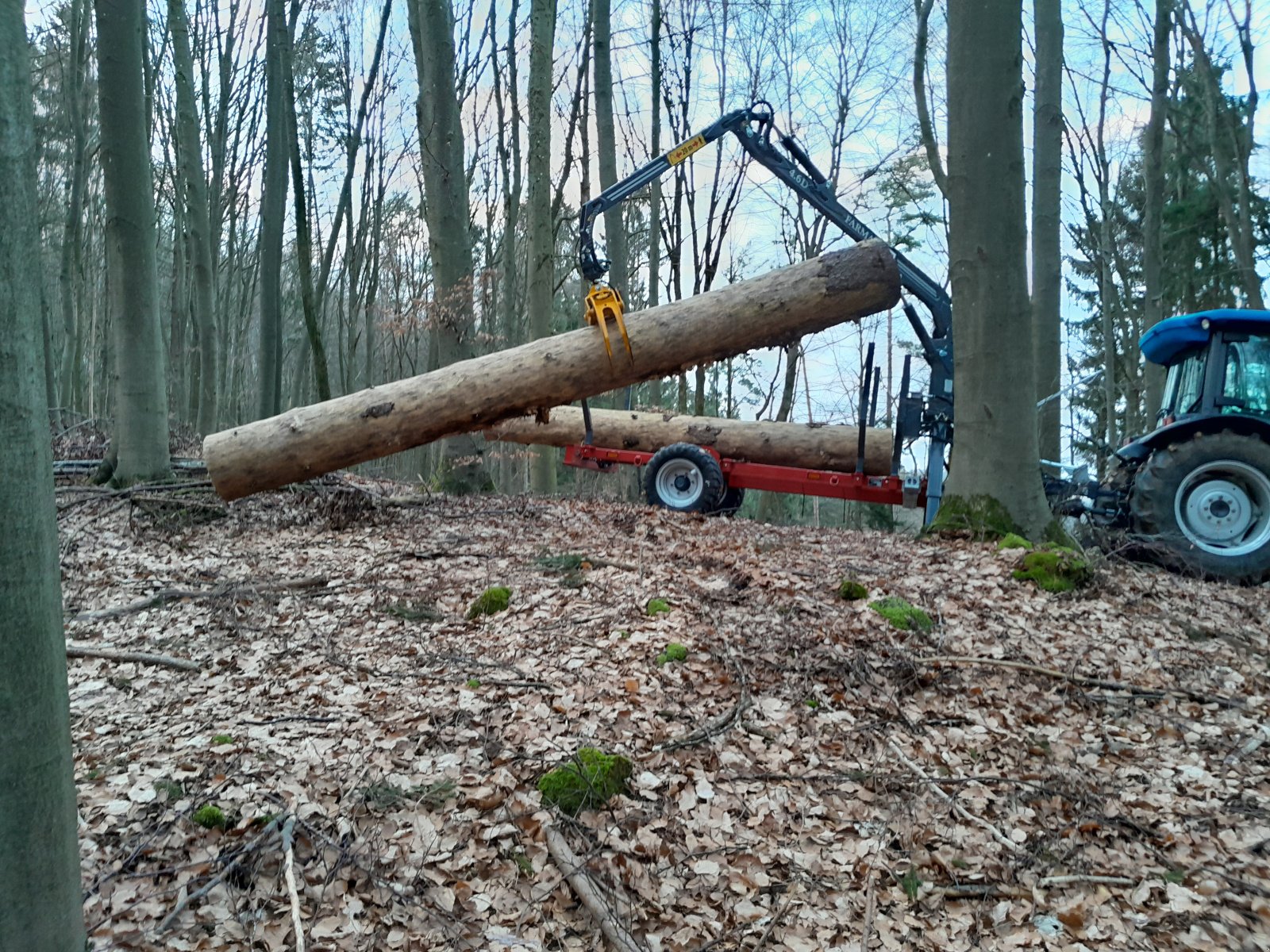 Rückewagen & Rückeanhänger des Typs Kratzer Forsmaschinen RW6000, Neumaschine in Happurg - Föhrenbach (Bild 3)