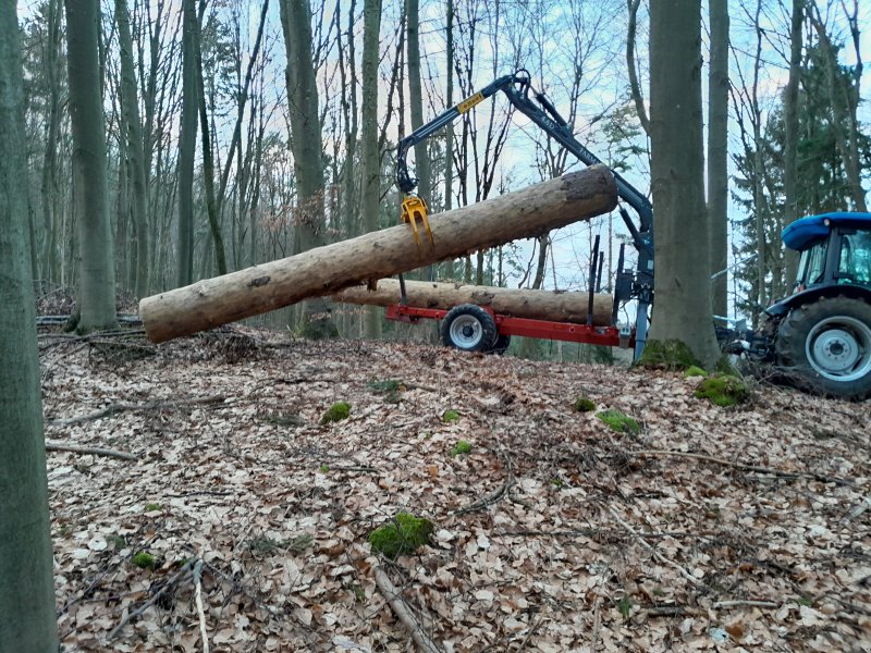 Rückewagen & Rückeanhänger typu Kratzer Forstmaschinen RW6000, Neumaschine w Happurg - Föhrenbach (Zdjęcie 1)