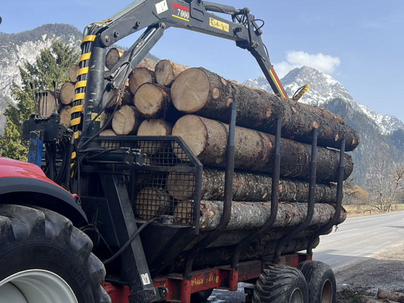 Rückewagen & Rückeanhänger tip Maskiner 11 Tonnen Rückewagen mit 7m Kran, Gebrauchtmaschine in Admont (Poză 1)