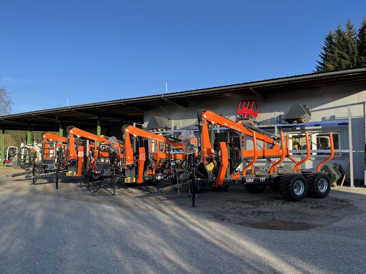 Rückewagen & Rückeanhänger van het type MTM Rückewagen 10 - 17 Tonnen, MTM 6,6m - 9m Forstkr, Gebrauchtmaschine in Bad Leonfelden (Foto 1)