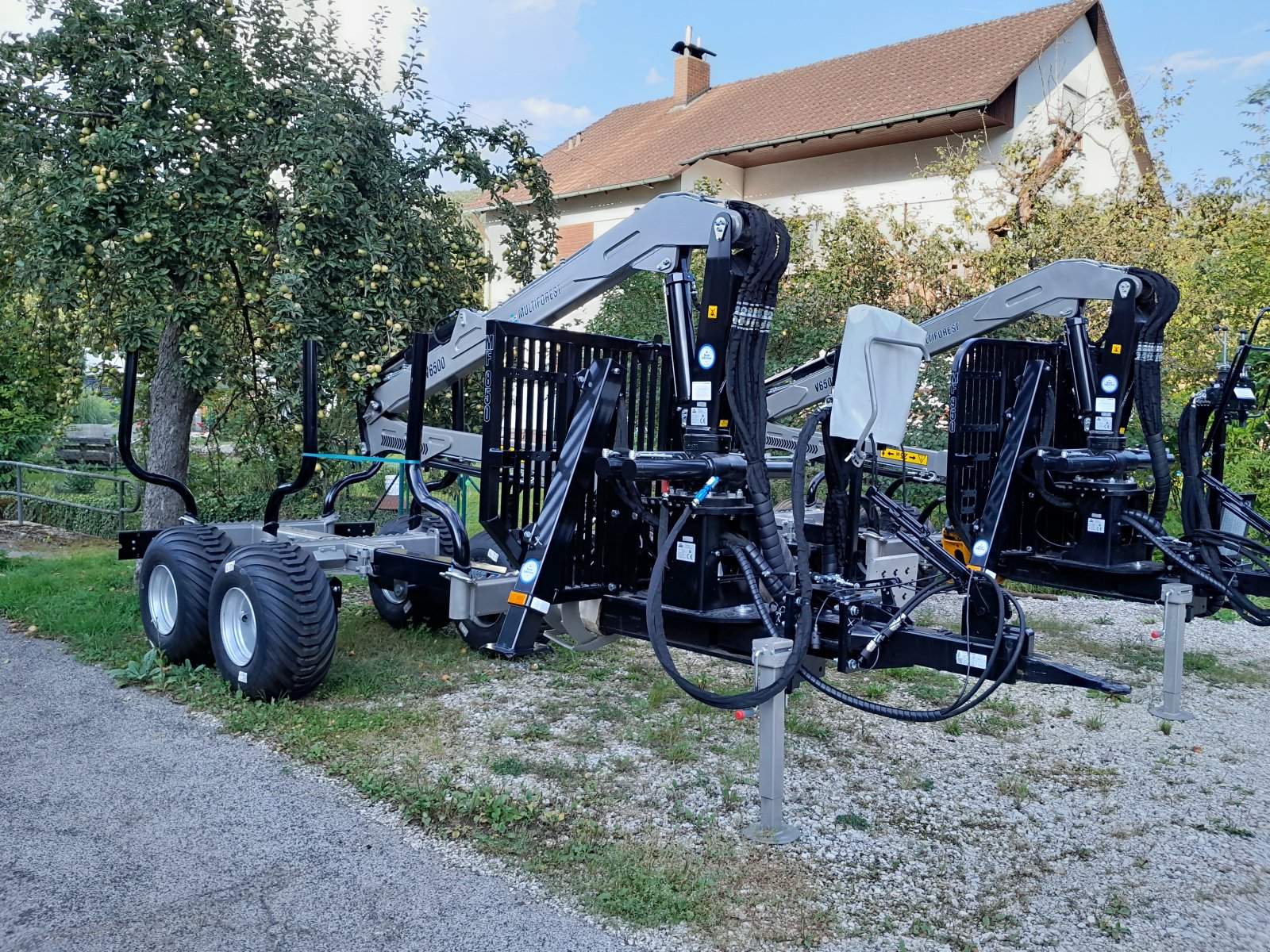 Rückewagen & Rückeanhänger del tipo Multiforest MF850 V5500, Neumaschine en Happurg - Föhrenbach (Imagen 5)