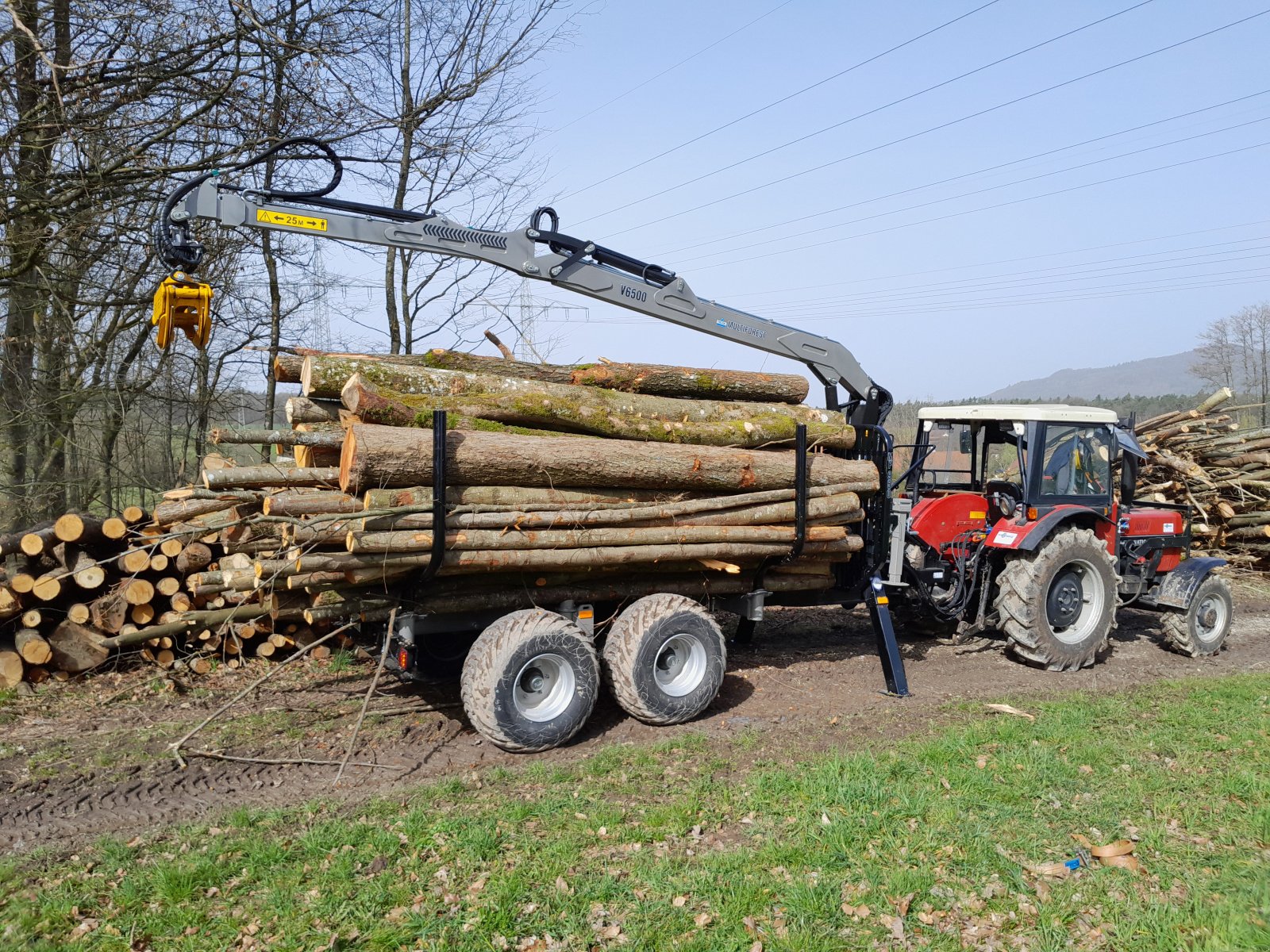 Rückewagen & Rückeanhänger Türe ait Multiforest MF850, Neumaschine içinde Happurg - Föhrenbach (resim 9)