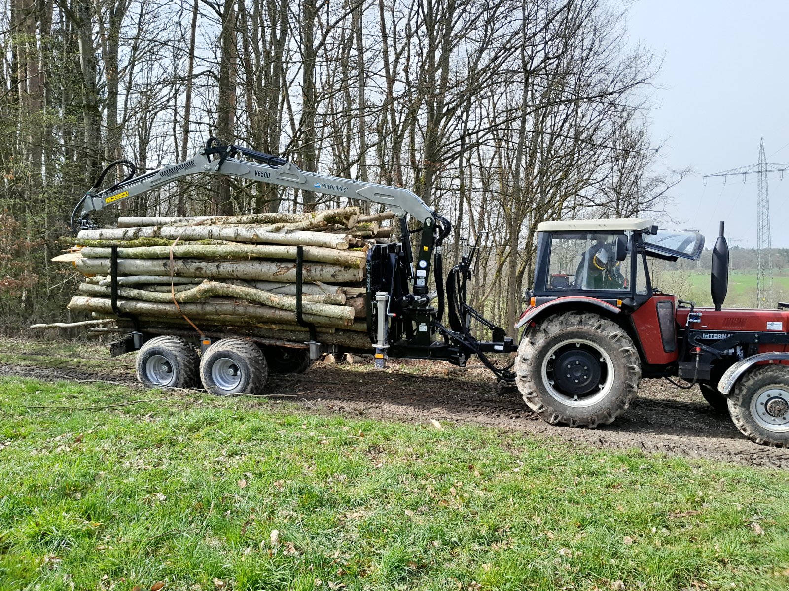 Rückewagen & Rückeanhänger του τύπου Multiforest MF850, Neumaschine σε Happurg - Föhrenbach (Φωτογραφία 10)