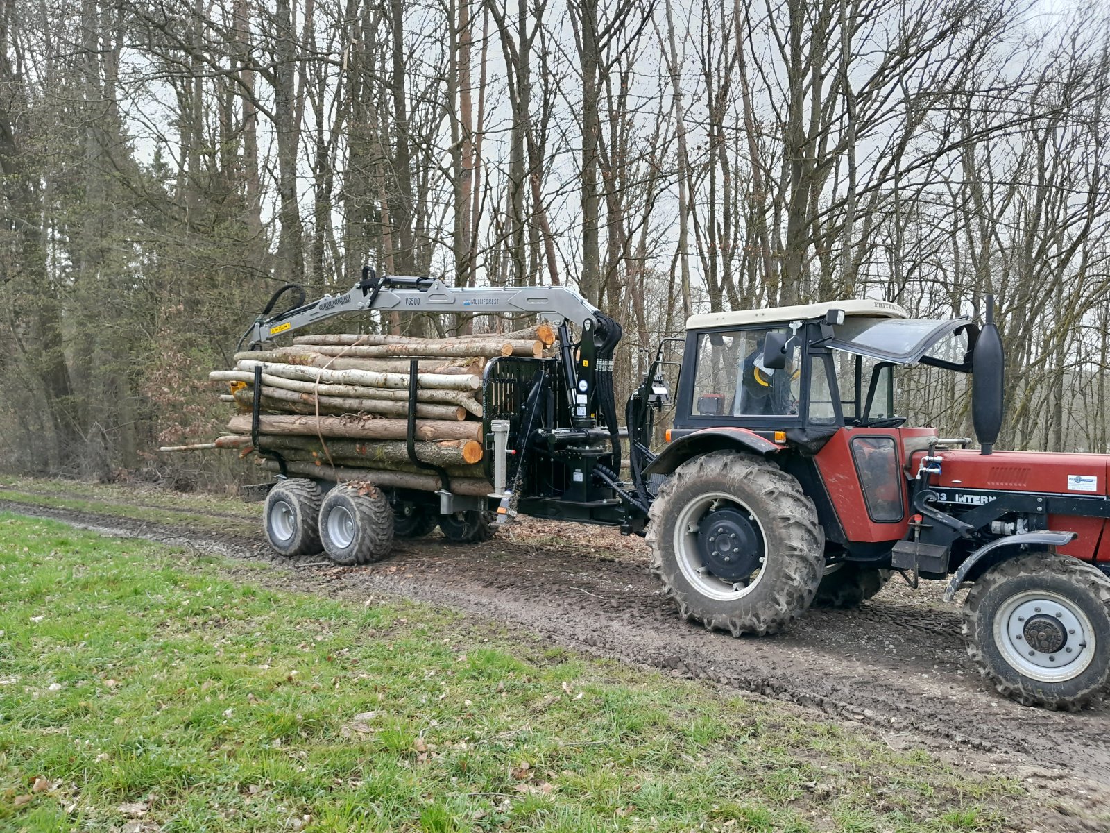 Rückewagen & Rückeanhänger des Typs Multiforest MF850, Neumaschine in Happurg - Föhrenbach (Bild 5)