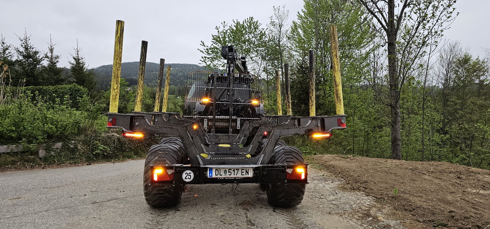 Rückewagen & Rückeanhänger typu Palms H13, Gebrauchtmaschine v St.Oswald o. E. (Obrázok 4)