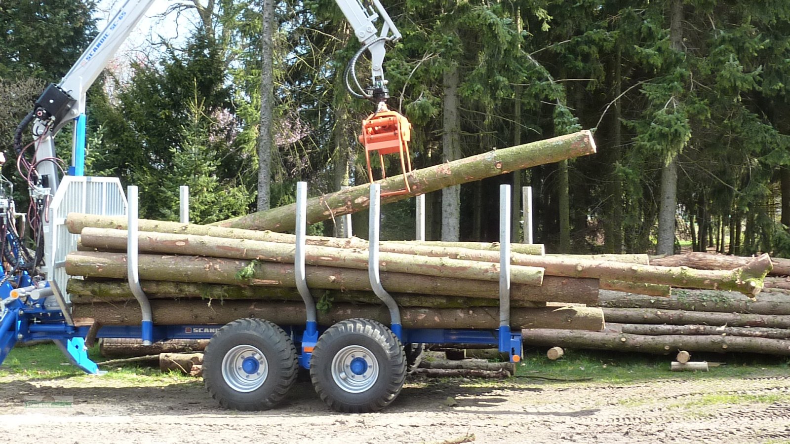 Rückewagen & Rückeanhänger typu Scandic ST 8 Druckluftbremse, Neumaschine w Neuenkirchen (Zdjęcie 4)