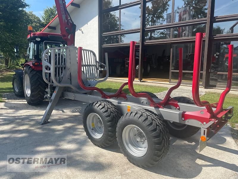 Rückewagen & Rückeanhänger Türe ait Schlang & Reichart SR 600, Gebrauchtmaschine içinde Rohr (resim 4)