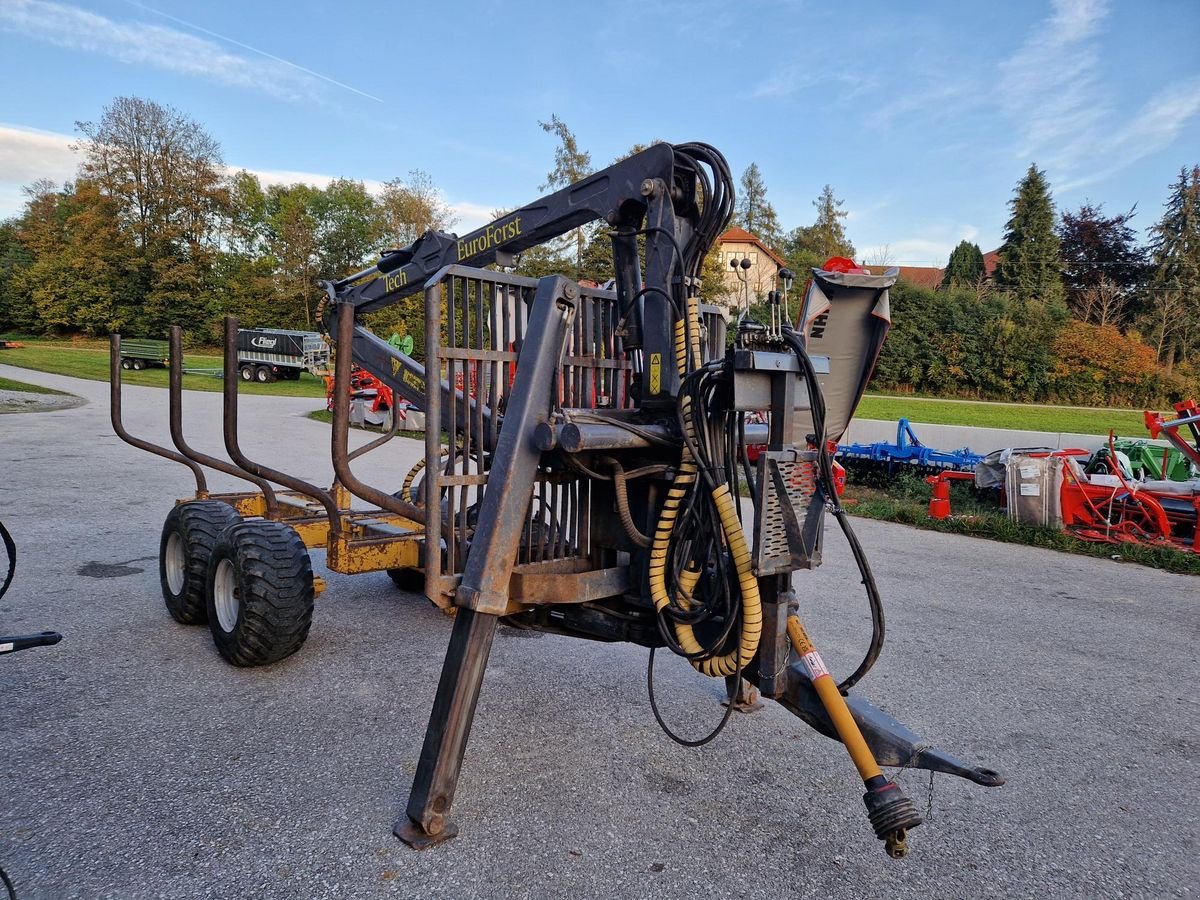 Rückewagen & Rückeanhänger of the type Sonstige EUROFORST 9Tonnen mit 6,5m Kran, Gebrauchtmaschine in Grünbach (Picture 3)