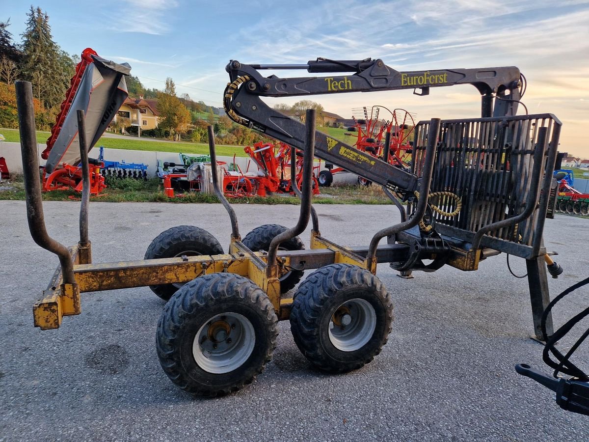 Rückewagen & Rückeanhänger van het type Sonstige EUROFORST 9Tonnen mit 6,5m Kran, Gebrauchtmaschine in Grünbach (Foto 4)