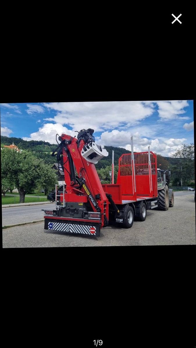 Rückewagen & Rückeanhänger типа Sonstige Gögl Holzanhänger, Gebrauchtmaschine в Feldkirchen (Фотография 1)