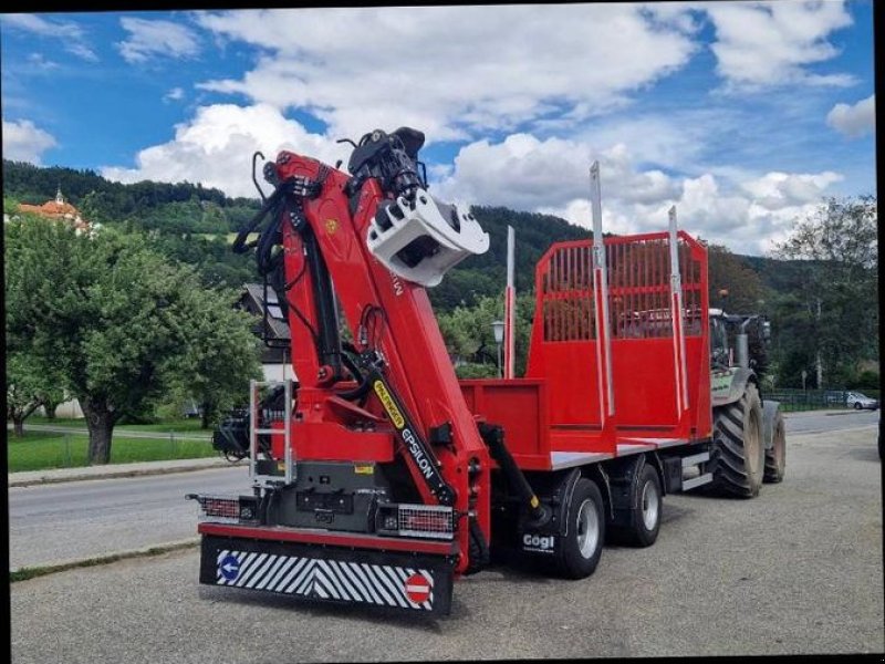 Rückewagen & Rückeanhänger del tipo Sonstige Gögl Holzanhänger, Gebrauchtmaschine In Feldkirchen (Immagine 1)