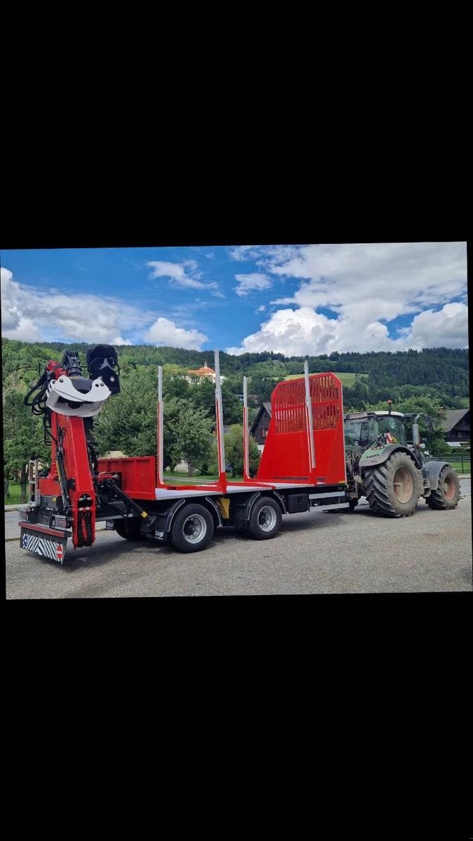 Rückewagen & Rückeanhänger типа Sonstige Gögl Holzanhänger, Gebrauchtmaschine в Feldkirchen (Фотография 3)