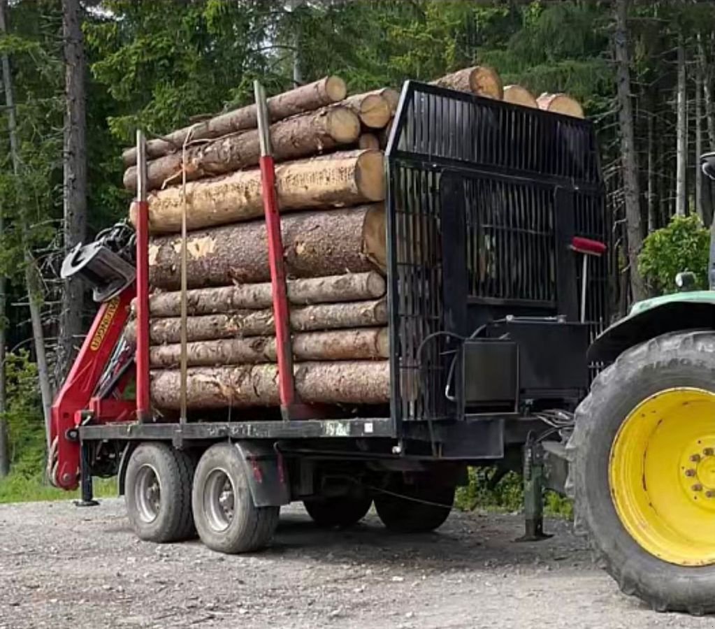 Rückewagen & Rückeanhänger des Typs Sonstige Profi Holzanhänger 24to Eigenbau, Gebrauchtmaschine in Greifenburg (Bild 14)