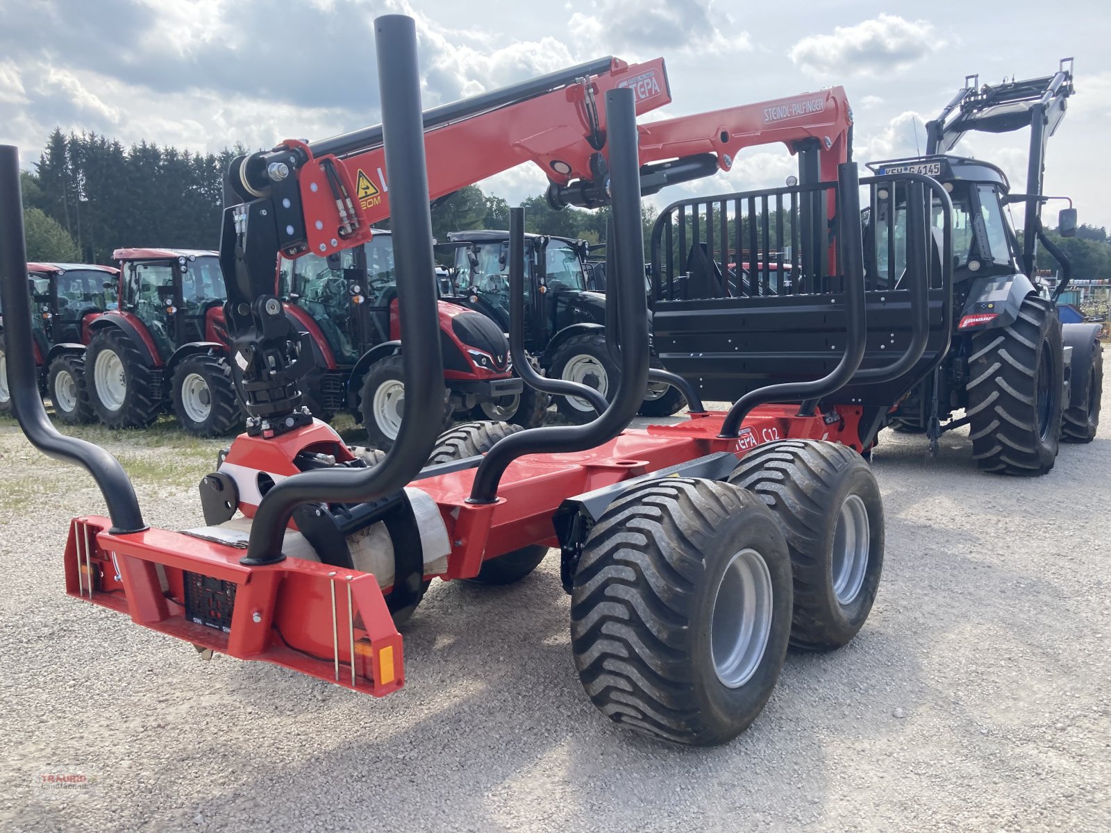 Rückewagen & Rückeanhänger typu Stepa C 12+FKL6285, Neumaschine v Mainburg/Wambach (Obrázek 10)