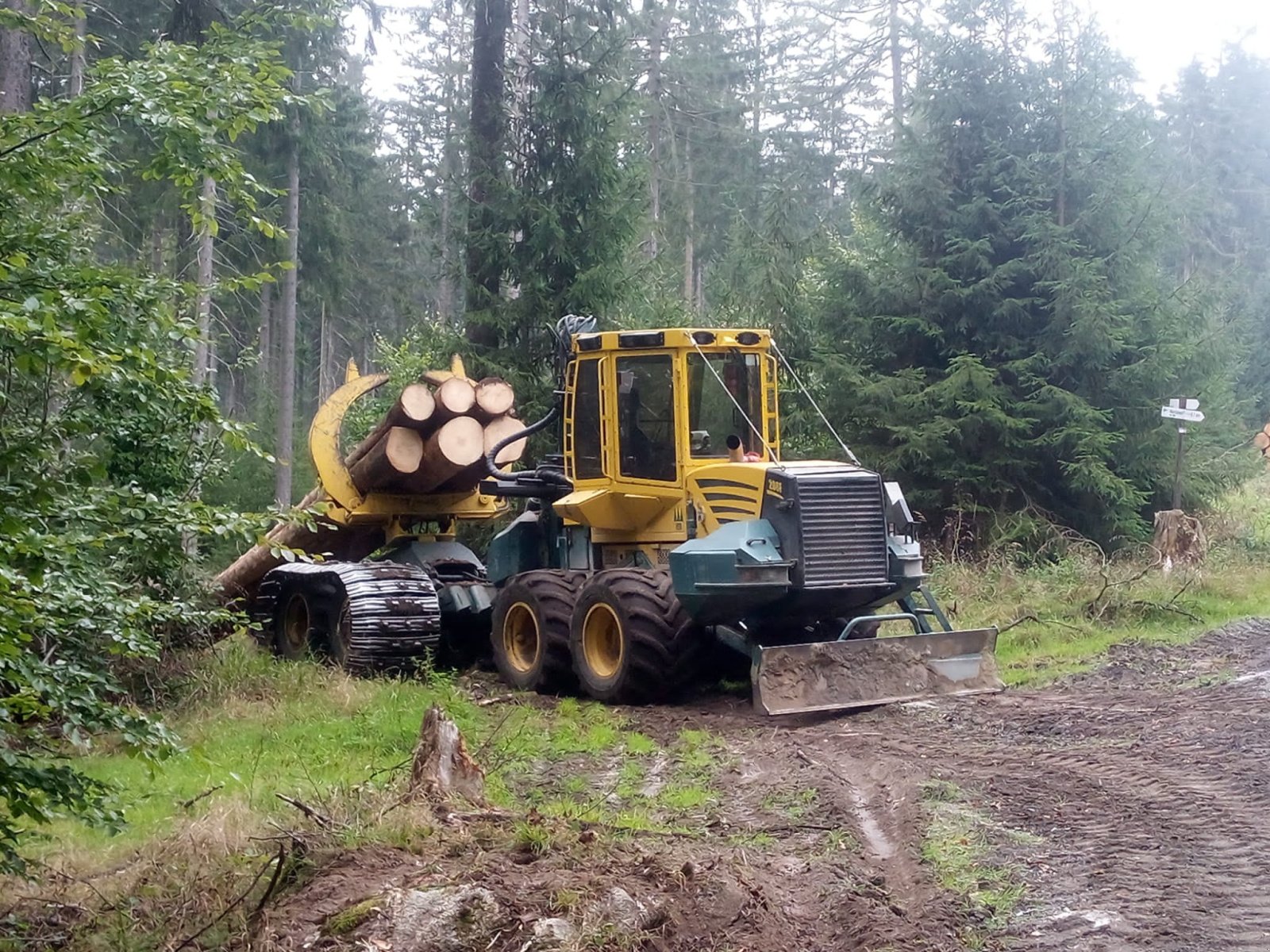 Rückezug del tipo HSM 208F, Gebrauchtmaschine en Steindorf (Imagen 1)