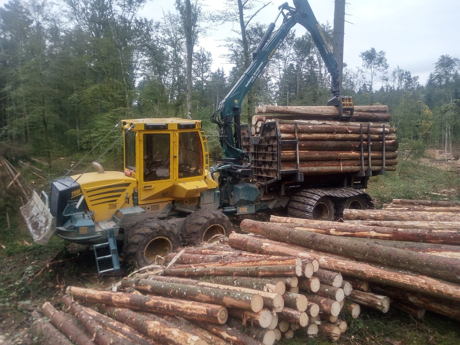 Rückezug del tipo HSM 208F, Gebrauchtmaschine en Steindorf (Imagen 2)