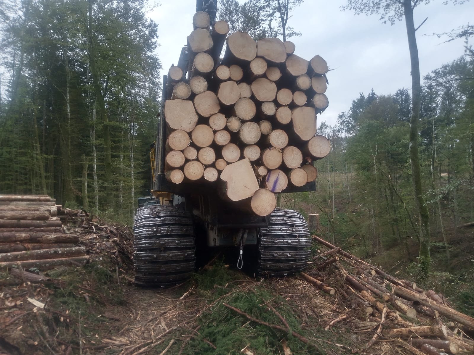 Rückezug del tipo HSM 208F, Gebrauchtmaschine en Steindorf (Imagen 9)