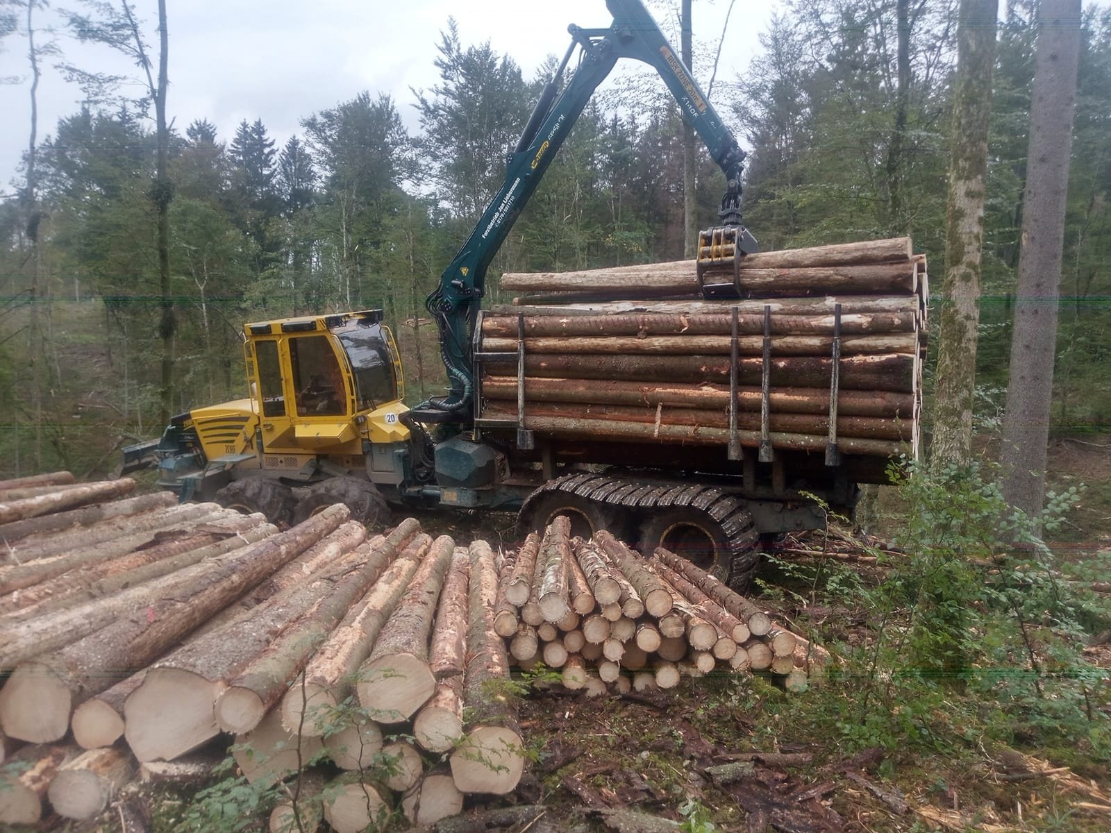 Rückezug от тип HSM 208F, Gebrauchtmaschine в Steindorf (Снимка 10)