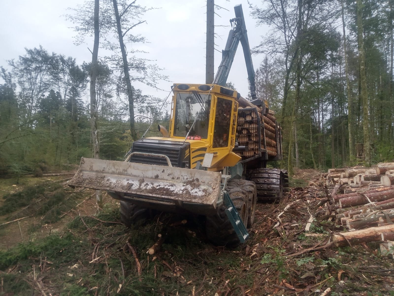 Rückezug от тип HSM 208F, Gebrauchtmaschine в Steindorf (Снимка 11)