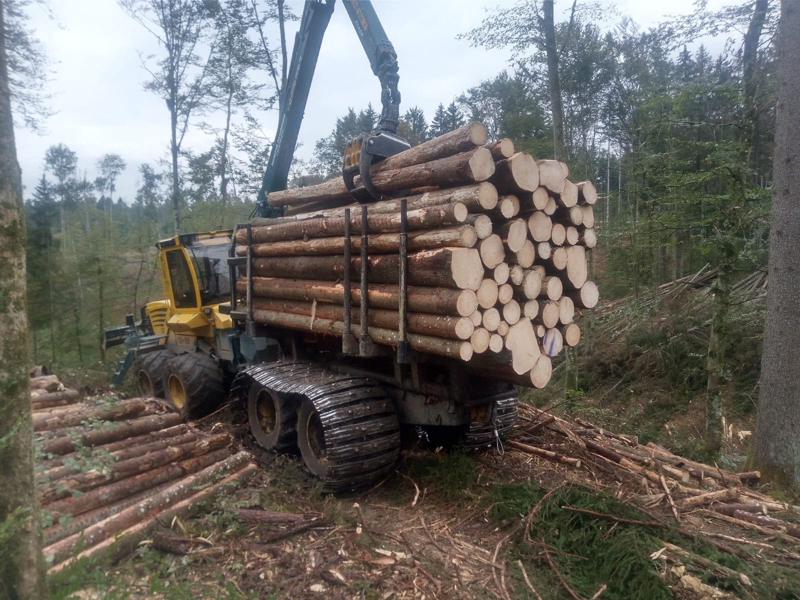 Rückezug от тип HSM 208F, Gebrauchtmaschine в Steindorf (Снимка 16)