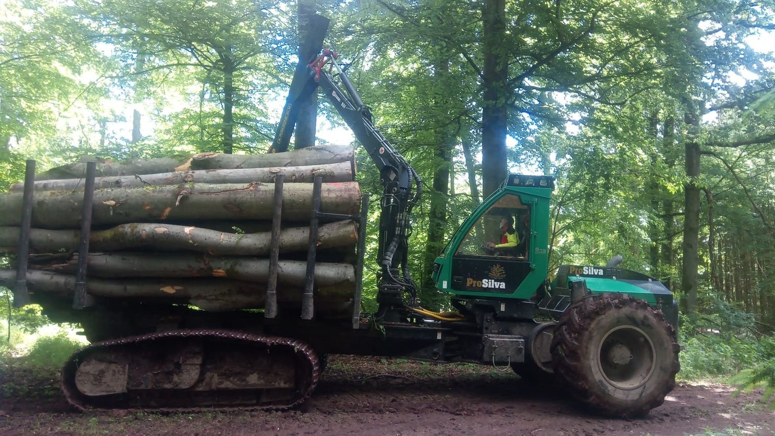 Rückezug tip ProSilva F2/2, Gebrauchtmaschine in Gedern (Poză 1)