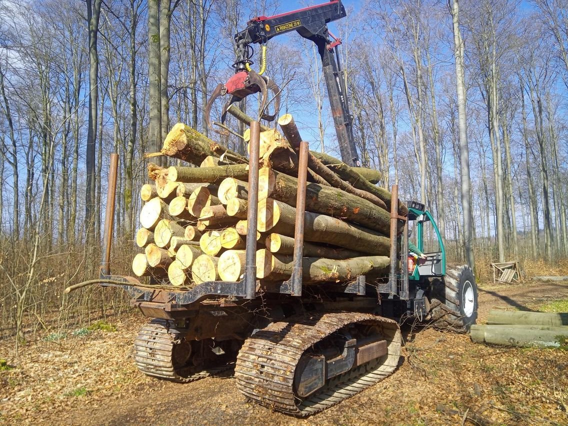 Rückezug des Typs ProSilva F2/2, Gebrauchtmaschine in Gedern (Bild 3)